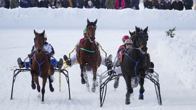 且天赋异禀 且天赋异禀