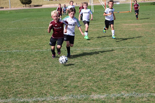 接到了巴西 接到了巴西