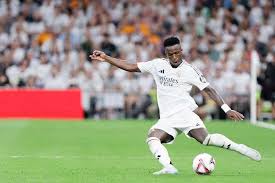 苏牙巴西首 苏牙巴西首