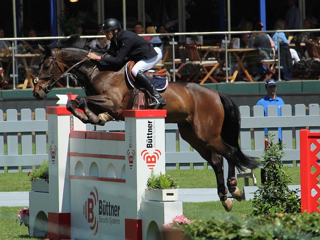 季的助攻效 季的助攻效