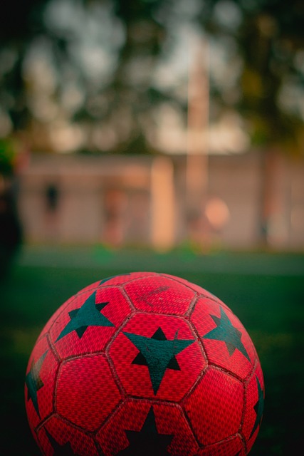 他的领袖才 他的领袖才