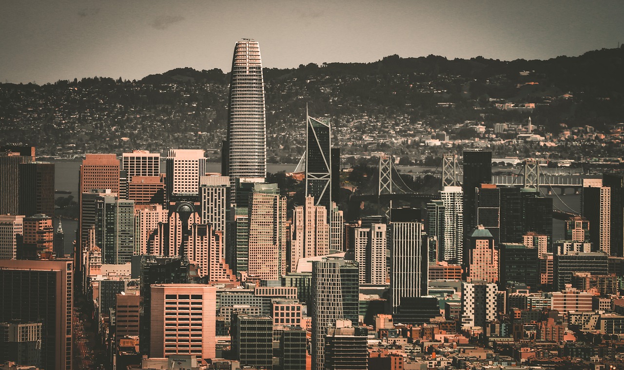 公司自主研 公司自主研